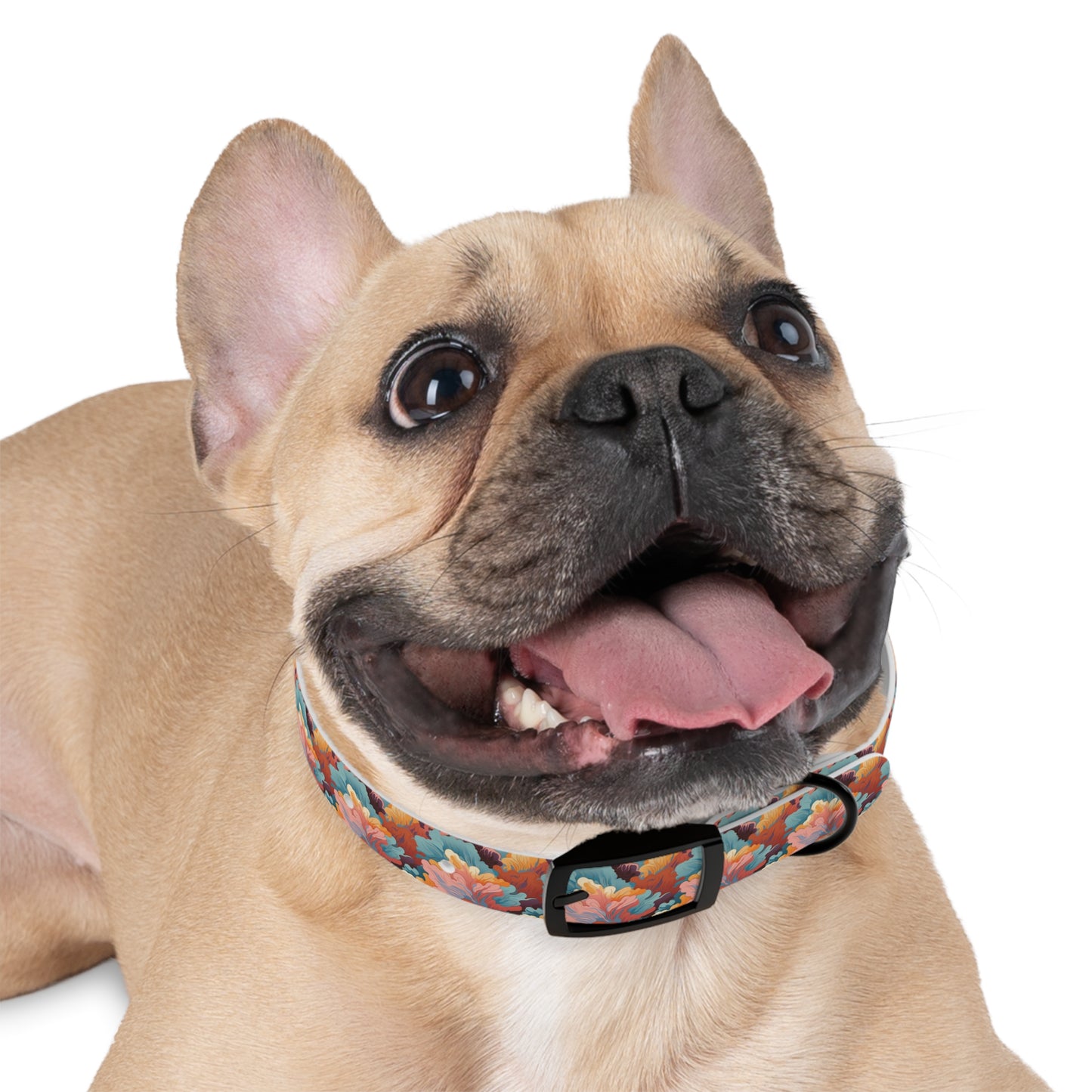 Psychedelic Autumn - Dog Collar