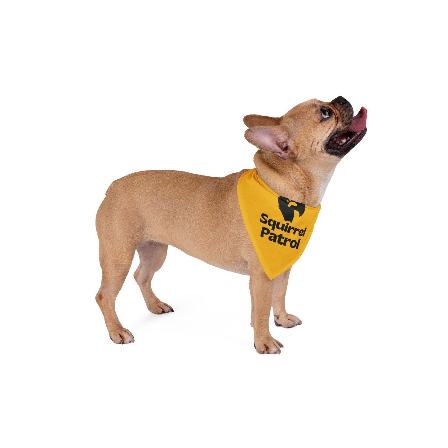 Squirrel Patrol - Pet Bandana