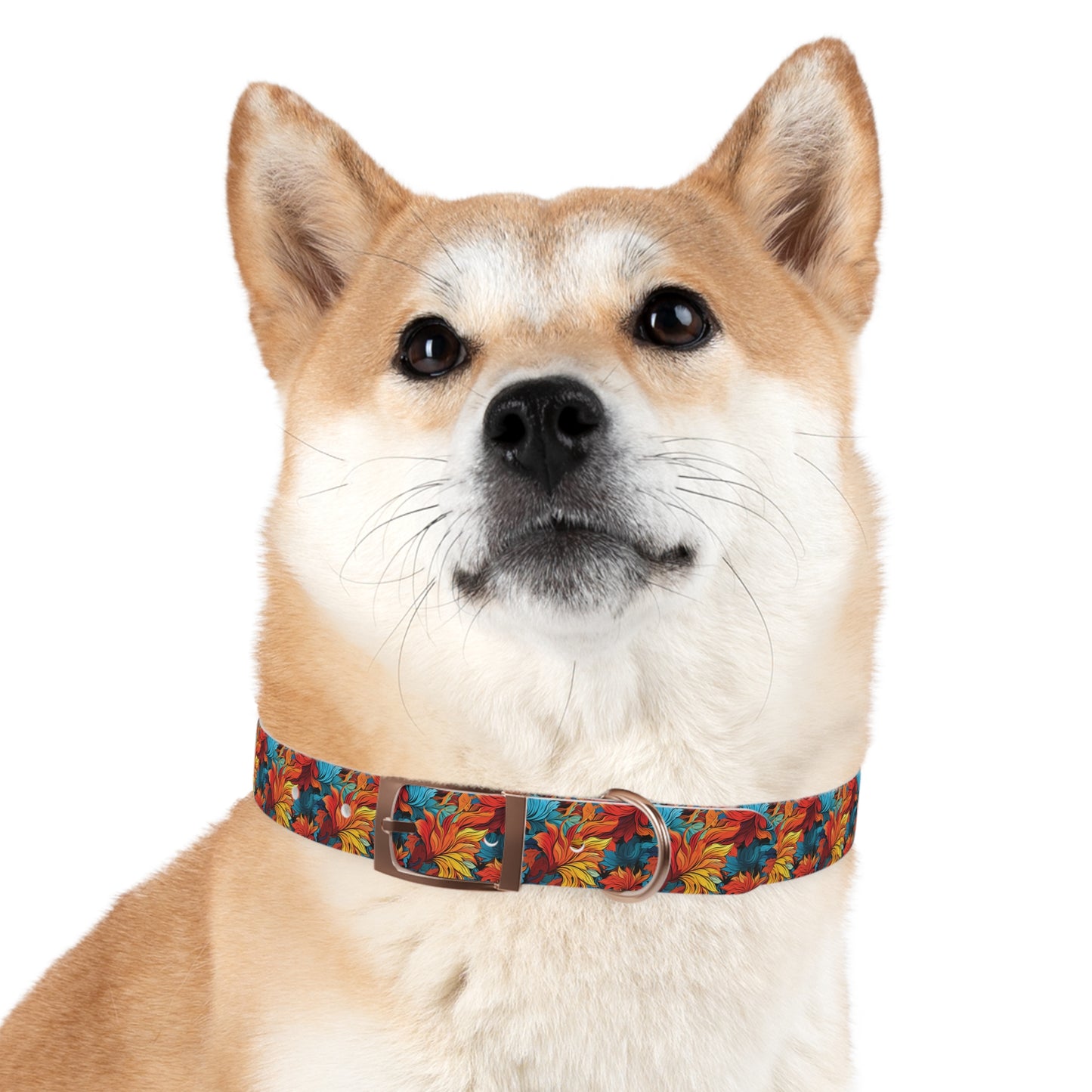 Psychedelic Autumn 2 - Dog Collar