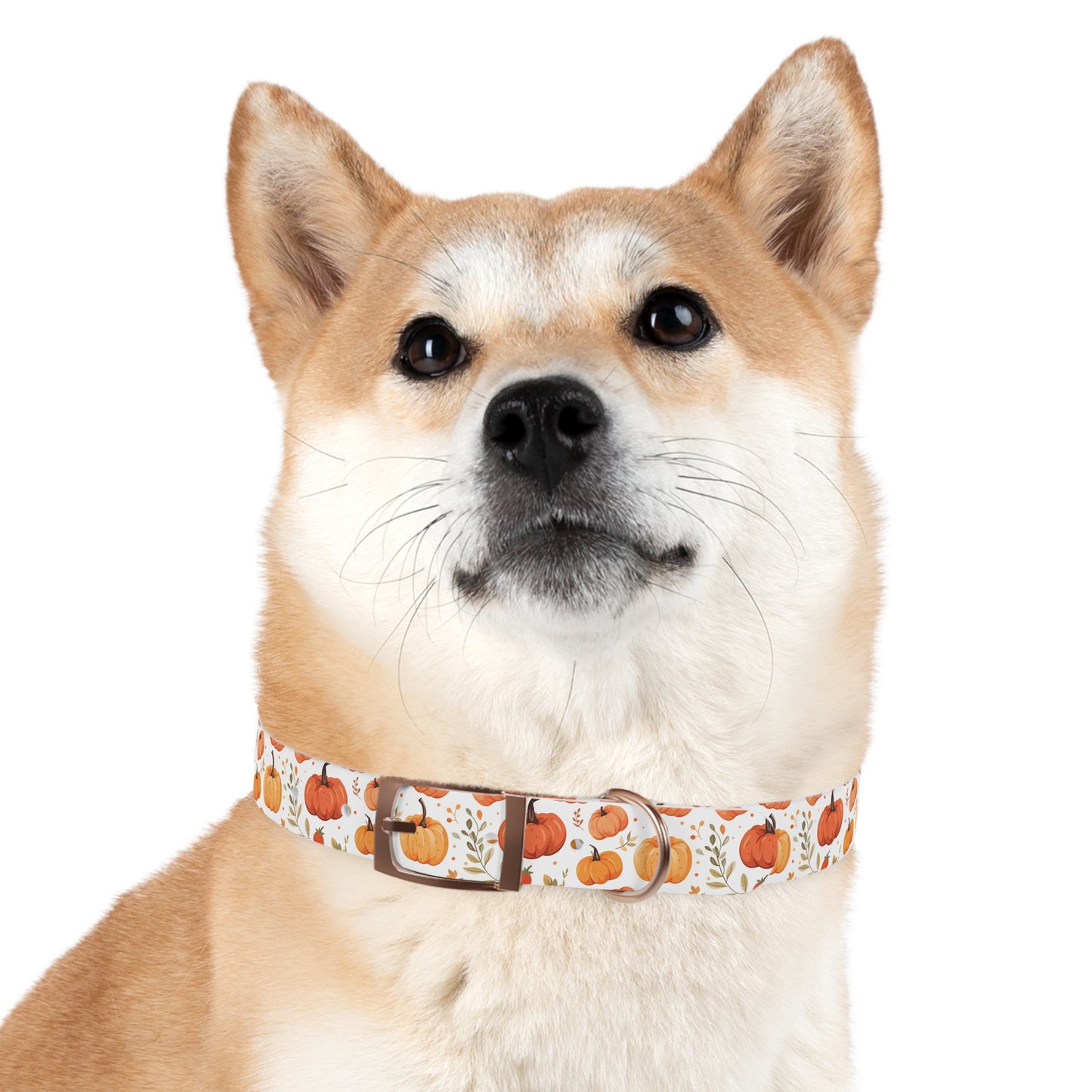 Autumn Pattern 5 - Dog Collar