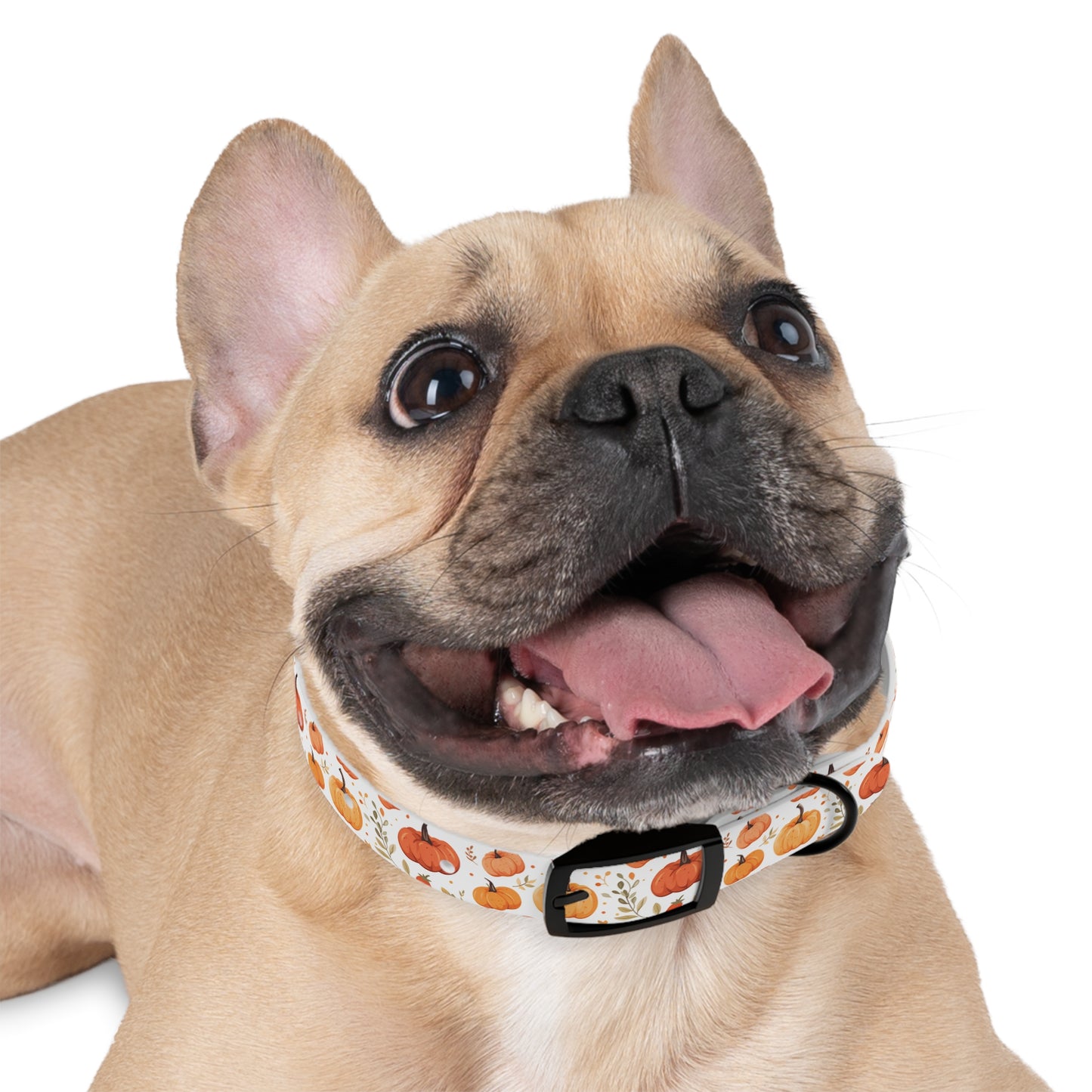 Autumn Pattern 5 - Dog Collar