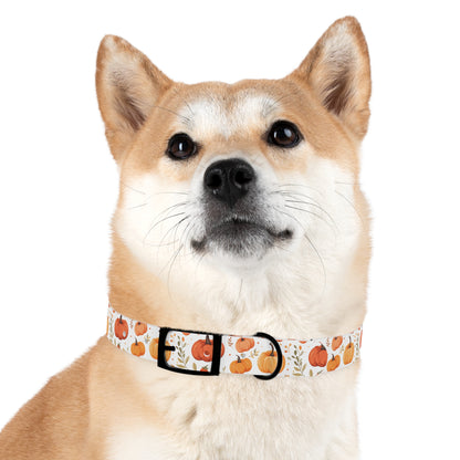 Autumn Pattern 5 - Dog Collar