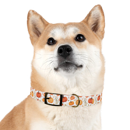 Autumn Pattern 5 - Dog Collar